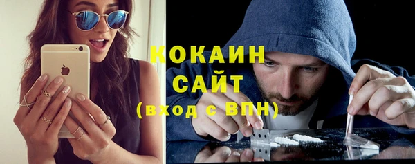 хмурый Гусев