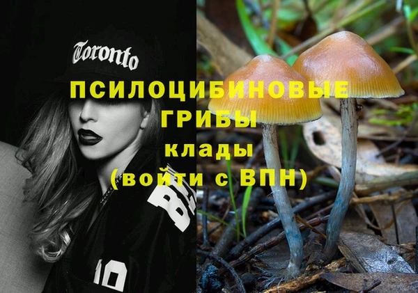 хмурый Гусев