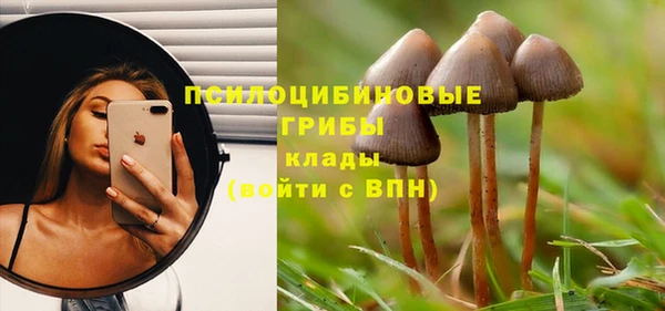 эйфоретик Гусиноозёрск