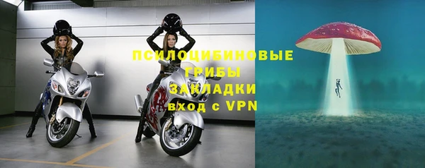 а пвп мука Горняк