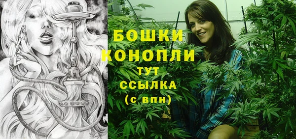 эйфоретик Гусиноозёрск