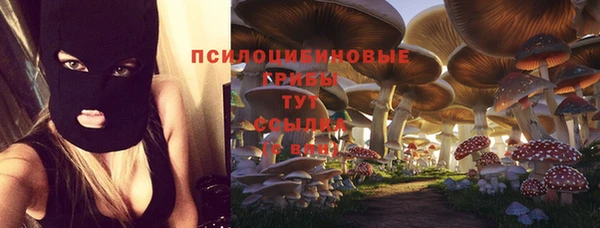 хмурый Гусев