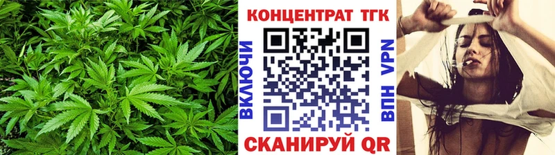 ТГК гашишное масло Шагонар